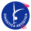 Ginástica Artística