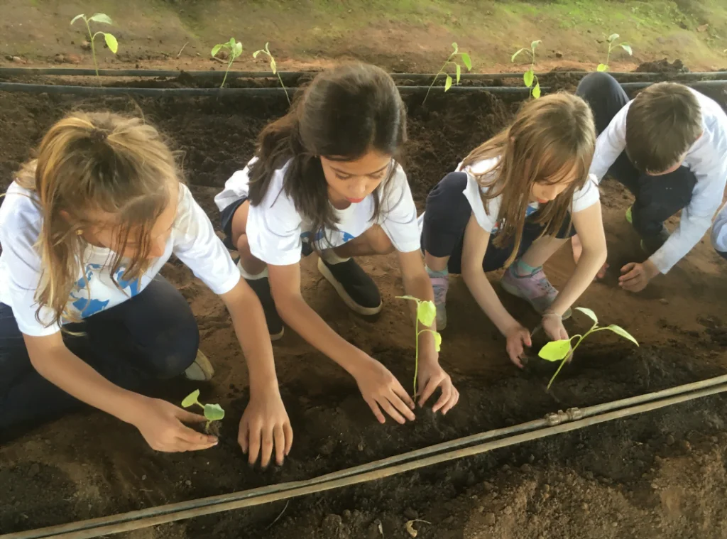 Alunos do Colégio Pentágono participam de atividade na Fazenda Ituaú
