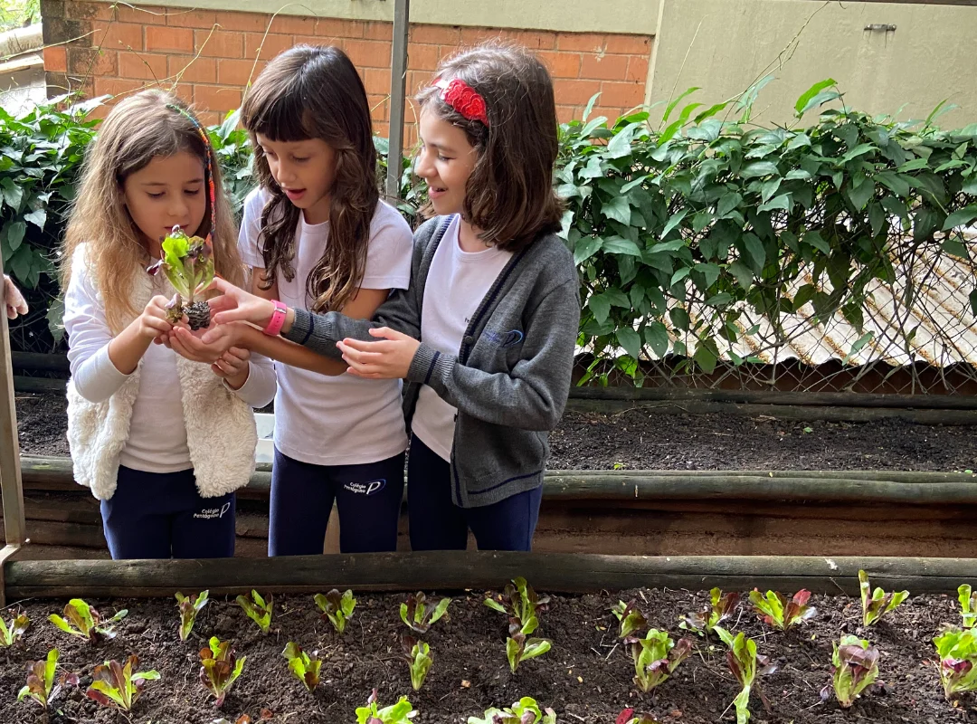 Projetos Integradores