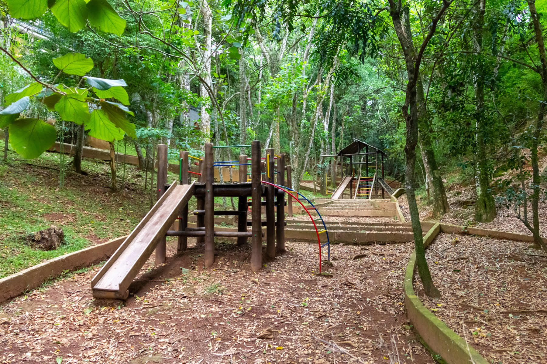 Bosque com mata preservada