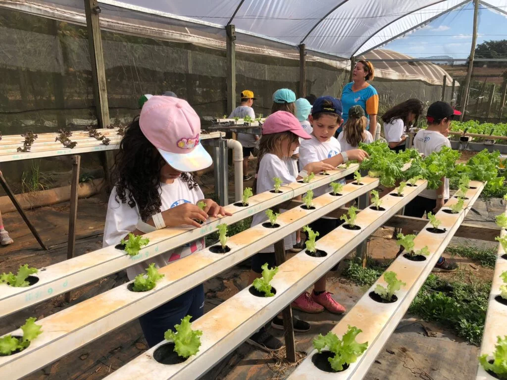 Para potencializar a consciência ecológica, os alunos do 2º ano do Colégio Pentágono visitaram a Fazenda Ituaú.