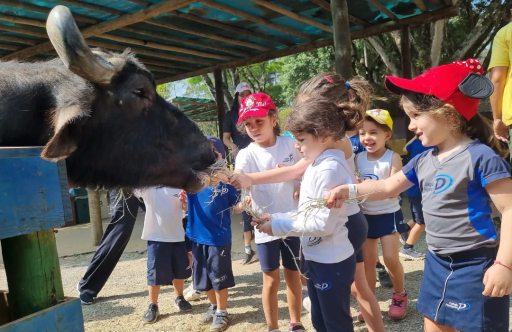 Alunos do Colégio Pentágono em Saída Pedagógica para a Cia dos Bichos