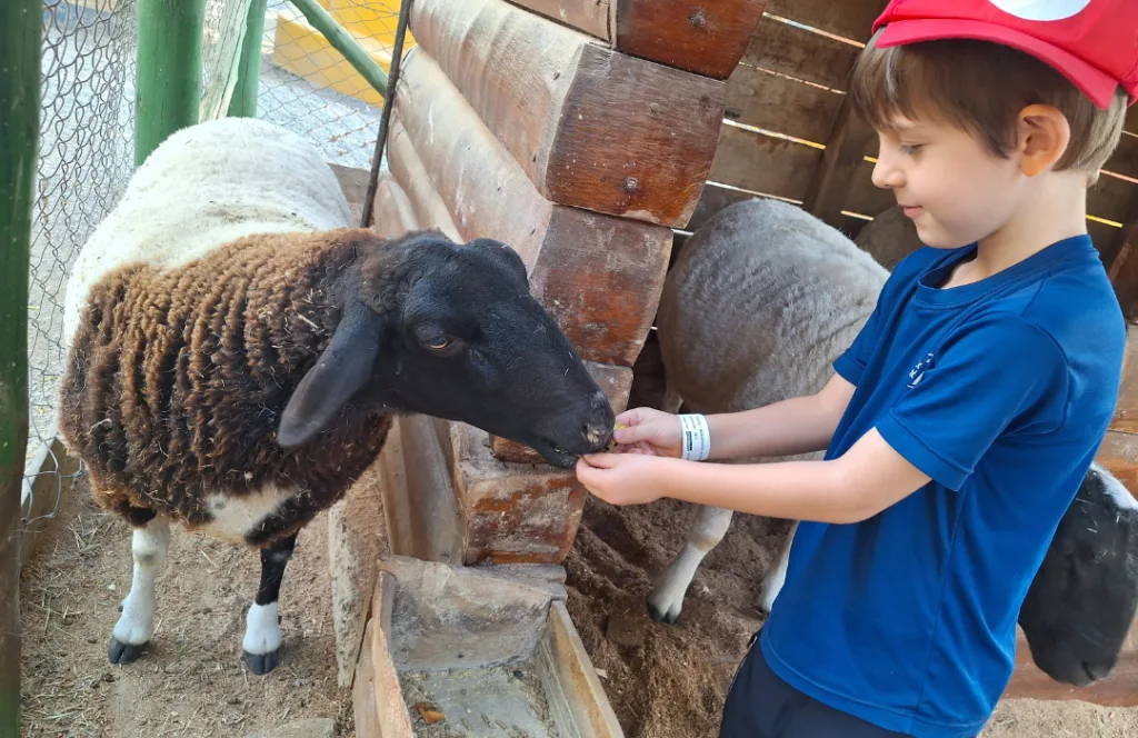 Alunos do Colégio Pentágono em Saída Pedagógica para a Cia dos Bichos