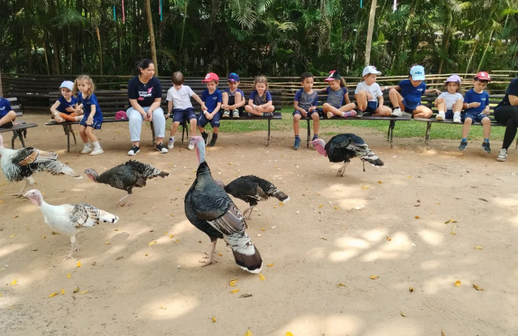 Alunos do Colégio Pentágono em Saída Pedagógica para a Cia dos Bichos